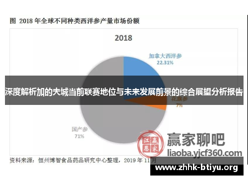 深度解析加的夫城当前联赛地位与未来发展前景的综合展望分析报告